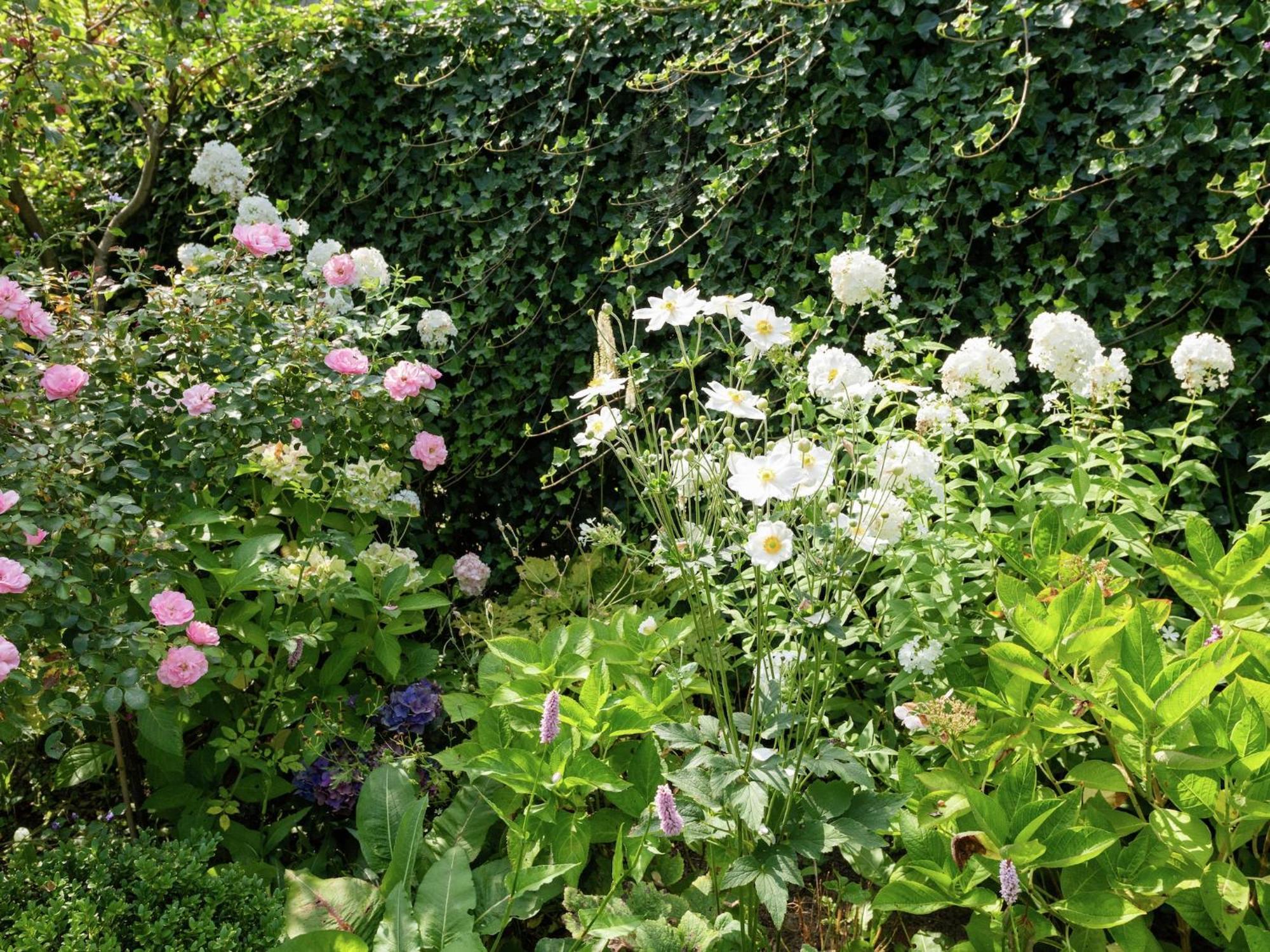Alluring In With Terrace Garden And Bbq